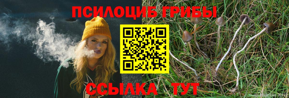 цены   Псилоцибиновые грибы Magic Shrooms  Вход с VPN  Псилоцибиновые грибы Cubensis  Королёв 