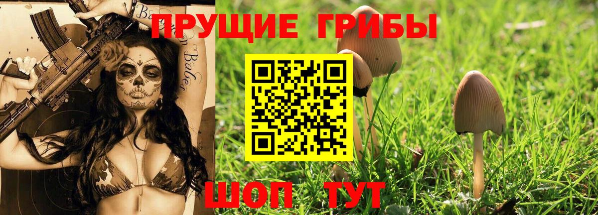 Галлюциногенные грибы Magic Shrooms Королёв